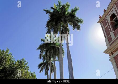 Chiesa di El Calvario, Leon, Nicaragua, America centrale, palme alte di fronte a un cielo blu vicino a una chiesa, America centrale Foto Stock