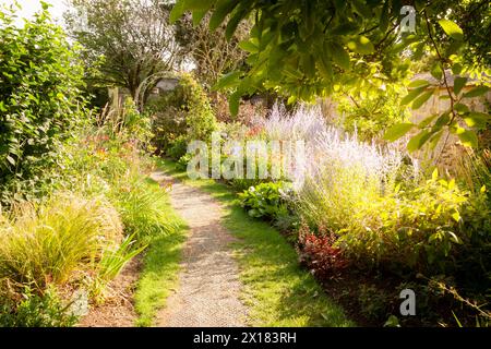 Un bel confine floreale all'inizio dell'estate, nel Regno Unito Foto Stock