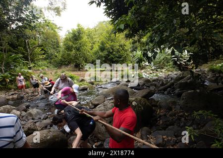 Eco Trek fino alle cascate di bambù, Grenada Foto Stock