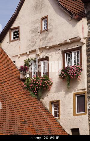 Vecchio edificio di appartamenti bianco con tetti e finestre in ceramica di terracotta tradizionali decorate con Pelargonium e fiori di Geranio in tarda serata Foto Stock