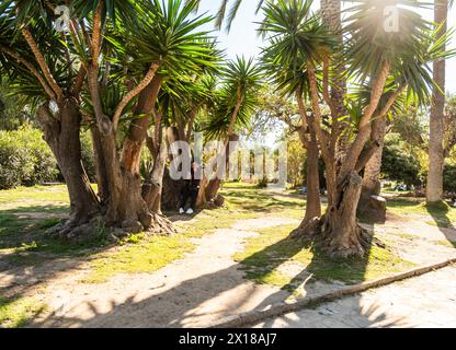 Gite in barca nel Parco la Ciutadella (Parc de la Ciutadella) nel centro storico di Barcellona, Spagna Foto Stock