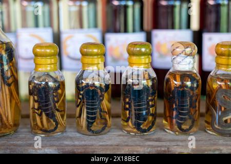 Choum, liquore di riso, vino di riso con scorpioni sottaceto e serpenti in vendita, Laos Foto Stock