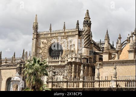 Siviglia, Cattedrale, Catedral de Santa Maria de la Sede con Giralda, Siviglia, facciata di una cattedrale con elementi gotici dettagliati e rosone Foto Stock