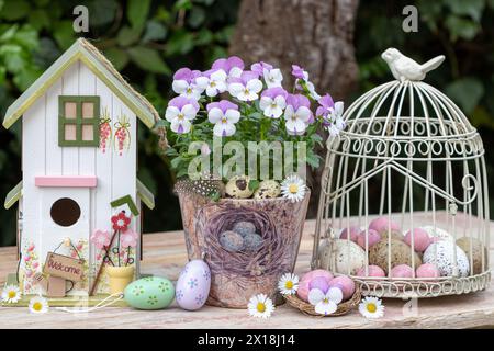 sistemazione pasquale con fiori di viola in vaso, casetta degli uccelli e uova di pasqua Foto Stock