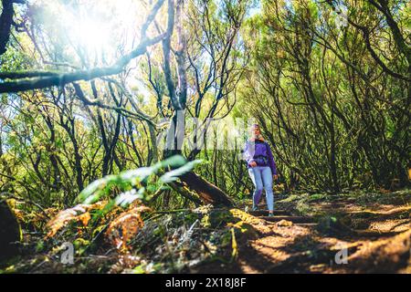 Descrizione: Ripresa ad angolo basso di una donna turistica ateltica che scende le scale lungo il sentiero attraverso una foresta verde in una giornata di sole. 25 Fontes Waterfalls, Foto Stock