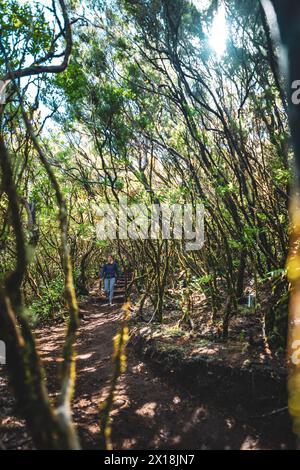 Descrizione: Atletica femminile turistica che percorre sentieri sterrati attraverso una foresta verde in una giornata di sole. 25 Fontes Waterfalls, isola di Madeira, Portuga Foto Stock