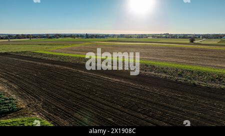 Il sole del tardo pomeriggio evidenzia una serena distesa di terreni agricoli, con filari di colture e terreni coltivati, ideali per temi di agricoltura ed ecosistemi rurali. Foto Stock