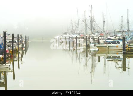 Richmond, Columbia Britannica, Canada – 24 giugno 2020. Steveston Paramount Harbour in the Mist. Nebbia al porticciolo di Steveston Harbor Authority. Foto Stock