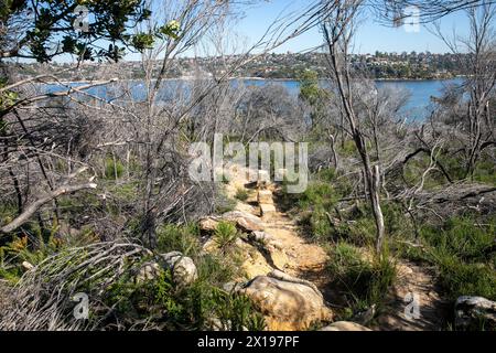 Percorso a piedi del faro su Dobroyd Head che conduce al faro di Grotto Point sul porto di Sydney, NSW, Australia, con vedute della spiaggia di Balmoral Foto Stock