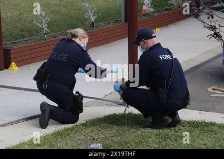 Sydney, Australia. 16 aprile 2024. Agenti di polizia forense lavorano nel complesso di una chiesa dove si è verificato un attacco pugnalato a Sydney, Australia, 16 aprile 2024. L'attacco pugnalato in una chiesa di Sydney durante la notte è stato un atto "terroristico" motivato religiosamente, ha detto la polizia martedì. L'attacco pugnalante, in cui due capi della chiesa sono stati feriti, è stato considerato un atto di "estremismo" religioso che ha intimidito il pubblico, Webb ha detto una conferenza stampa. Un portavoce dell'ambulanza del NSW ha confermato che quattro persone sono rimaste ferite nell'attacco. Crediti: Xinhua/Alamy Live News Foto Stock