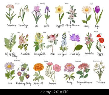 Illustrazione colorata dei fiori del mese di nascita. Illustrazione Vettoriale