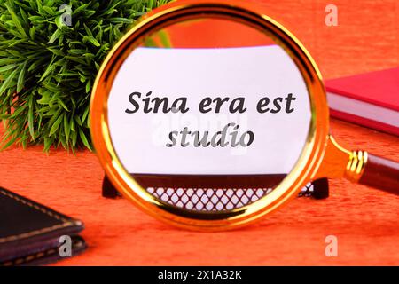 Sina era il più grande studio di registrazione significa senza rabbia e dipendenza attraverso una lente d'ingrandimento su un biglietto da visita. Concetto di business Foto Stock