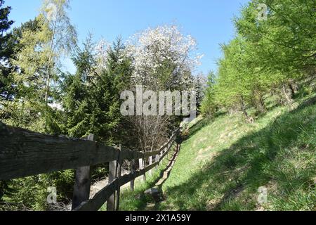 Sentiero escursionistico attraverso e intorno alla valle dello Stubai in Austria Alpes. Splendida vista sulle montagne . Ghiacciaio dello Stubai , regione del Tirolo . Foto Stock