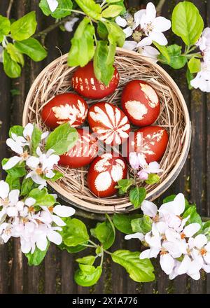 Uova di Pasqua tradizionali tinte con bucce di cipolla e fantasia di foglie fresche di piante in un setaccio rustico di farina intorno ai rami di mela in fiore. Fai da te o deco Foto Stock