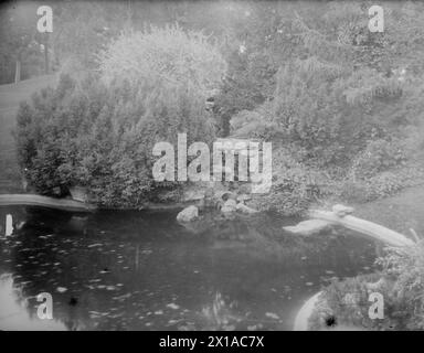 Vienna 18, parco Tuerkenschanzpark (parco Tuerkenschanz), piccolo conflusso di a con laghetto ornamentale con cordolo, 1890 - 18900101 PD1258 - Rechteinfo: Rights Managed (RM) Foto Stock