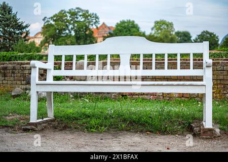 Panchina di legno bianco nel parco di Dargun Manor e Monastero, nel comune di Dargun, Meclemburgo-Pomerania Occidentale, Germania. Foto Stock