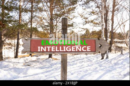 Ei simbolo di intelligenza emotiva. Parole concettuali EI intelligenza emotiva su segnali stradali in legno. Splendida foresta con cielo innevato. Psicolo degli affari Foto Stock