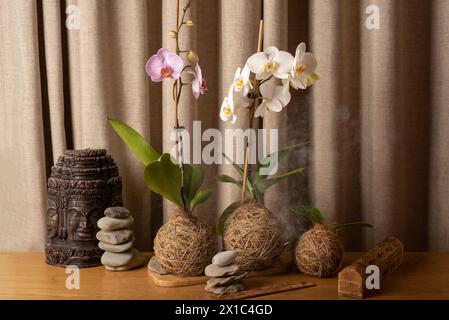 Due orchidee contro pietre e candele contro le pareti di mattoni Foto Stock