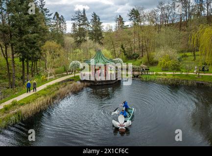 I giardinieri Joel Dibb e Kate Cannon utilizzano una piccola barca per installare "Magnolia", una scultura di Rebecca Newnham, nel lago Magnolia presso l'Himalayan Garden and Sculpture Park, vicino a Ripon, nel North Yorkshire. Data foto: Martedì 16 aprile 2024. Foto Stock