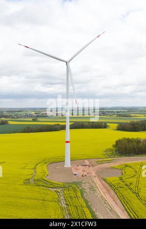 16 aprile 2024, Sassonia, Königshain-Wiederau: I semi di colza in fiore circondano la turbina eolica più alta del distretto della Sassonia centrale. La turbina eolica Leipziger Stadtwerke è alta circa 250 metri e produce energia sufficiente per 4.600 famiglie ogni anno. (Vista aerea con drone) foto: Sebastian Kahnert/dpa Foto Stock