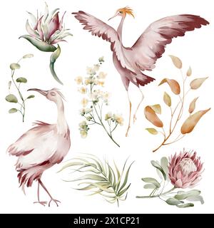 Uccelli rosa Ibis. Elementi di acquerello di uccelli tropicali, fiori e piante. Piante di banane e orchidee, fenicottero australiano su sfondo bianco. Foto Stock