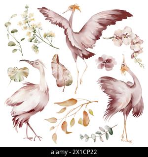 Uccelli rosa Ibis. Elementi di acquerello di uccelli tropicali, fiori e piante. Piante di banane e orchidee, fenicottero australiano su sfondo bianco. Foto Stock