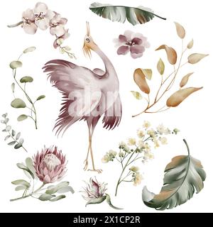 Uccelli rosa Ibis. Elementi di acquerello di uccelli tropicali, fiori e piante. Piante di banane e orchidee, fenicottero australiano su sfondo bianco. Foto Stock