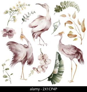 Uccelli rosa Ibis. Elementi di acquerello di uccelli tropicali, fiori e piante. Piante di banane e orchidee, fenicottero australiano su sfondo bianco. Foto Stock