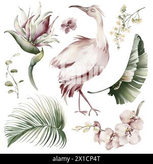 Uccelli rosa Ibis. Elementi di acquerello di uccelli tropicali, fiori e piante. Piante di banane e orchidee, fenicottero australiano su sfondo bianco. Foto Stock