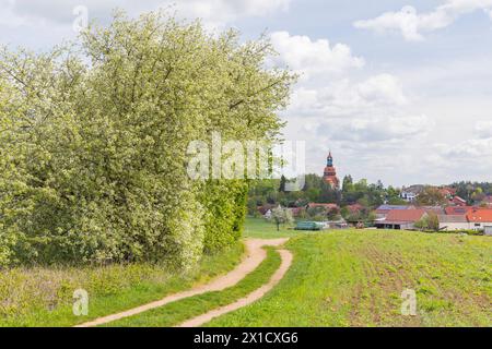 Aussicht vom Rastplatz mit Großer Holzfigur von einem Pferd am Karrasrundweg auf Ort und Kirche Moritzburg, Sachsen, Deutschland *** Vista della villa Foto Stock