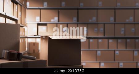 Interno del magazzino di distribuzione con molte scatole di cartone sugli scaffali Foto Stock