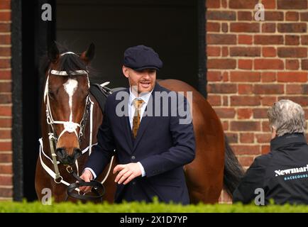 Il Manhattan Mirage si è portato davanti ad Alex Scott Maiden Stakes il primo giorno dell'incontro tra 365 Craven all'ippodromo di Newmarket. Data foto: Martedì 16 aprile 2024. Foto Stock