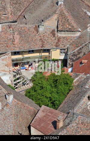 Sibiu, contea di Sibiu, Romania Foto Stock