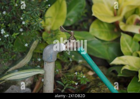 Il rubinetto dell'acqua con un piccolo tubo collegato a un tubo è verde e viene acceso con uno sfondo naturale Foto Stock