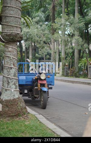 Una motocicletta a tre ruote con un corpo blu era parcheggiata sul lato della strada vicino a un grande albero Foto Stock