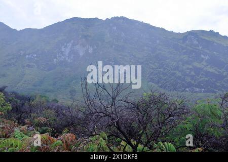 Splendida vista panoramica del complesso vulcanico Ijen con le montagne, Giava Est in Indonesia Foto Stock