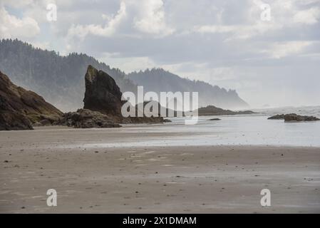 Oregon Coast Foto Stock