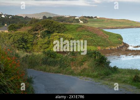 L'isola di Sherkin nella baia di Roaringwater sulla Wild Atlantic Way a West Cork in Irlanda in Europa Foto Stock