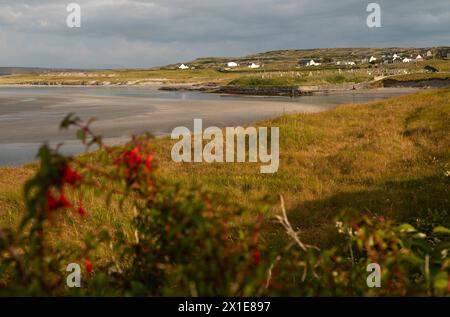 Vista verso St Le rovine del monastero di Enda a Killeany sull'isola di Inishmore nelle isole Aran sulla Wild Atlantic Way a Galway in Irlanda in Europa Foto Stock