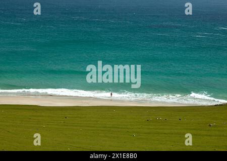 Nuotatore solitario sulla spiaggia dell'isola di Inishbofin a Galway in Irlanda in Europa Foto Stock