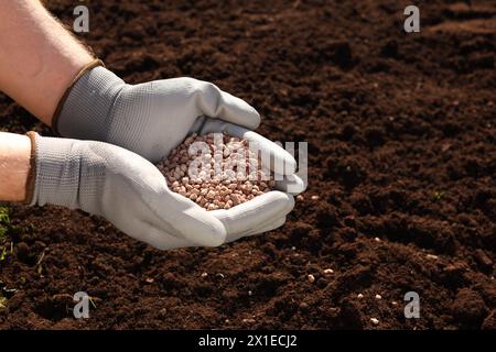 Uomo che tiene fertilizzante granulato sul terreno nelle giornate di sole, primo piano. Spazio per il testo Foto Stock