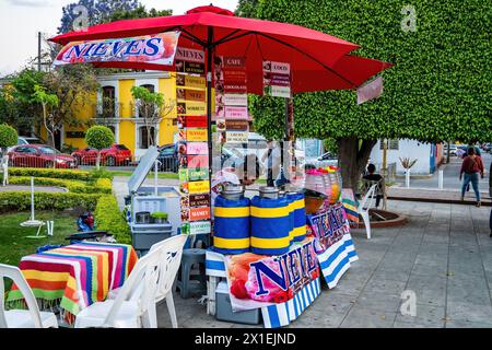 Una donna che vende bevande fredde nel centro della cittadina di Santa María del Tule, Oaxaca, Messico. Foto Stock