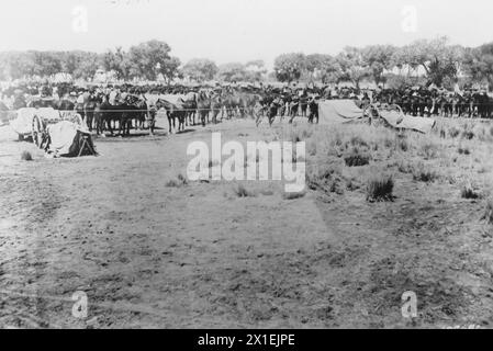 Spedizione punitiva messicana / spedizione Pancho Villa. 6th Field Artillery presso il quartier generale vicino a Dublan CA. 1916 Foto Stock