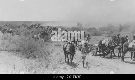 Cavalleria a cavallo in azione. Piedi Bliss, Texas CA. 1939 Foto Stock