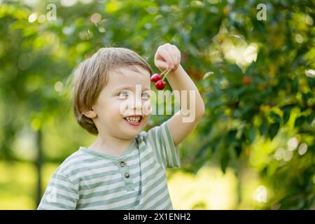 Bambino carino che mangia ciliegie fresche biologiche appena raccolte dall'albero nella soleggiata giornata estiva. Il bambino si diverte all'aperto in un frutteto di ciliegi. Foto Stock