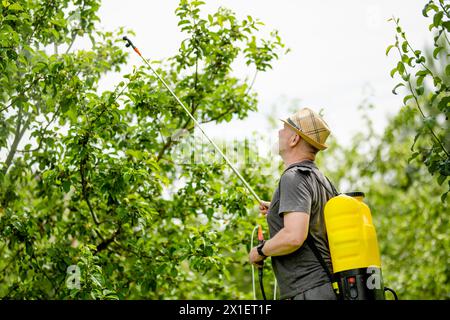 Il giardiniere di mezza età con nebulizzatore spruzza fungicida e pesticida su cespugli e alberi. Protezione delle piante coltivate dagli insetti e dal fu Foto Stock