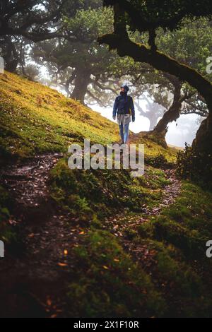 Descrizione: Vista frontale di un escursionista con abiti impermeabili che cammina su un sentiero escursionistico in una mistica foresta nebbiosa con enormi alberi di alloro. Foresta di Fanal, Foto Stock