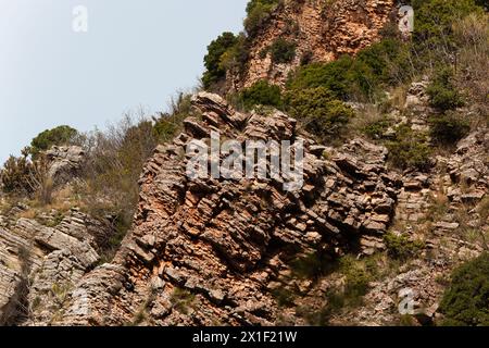 Un primo piano di una formazione rocciosa con tronchi di legno marrone e piante terrestri che crescono come copertura del suolo, creando un modello di erba sulla roccia. Testo Foto Stock