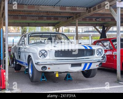 Aprile 2024 - raccolta di auto da corsa Ford Mustang nel paddock al 81° incontro dei membri a Goodwood, per celebrare i 60 anni dal suo lancio Foto Stock