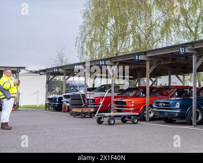 Aprile 2024 - raccolta di auto da corsa Ford Mustang nel paddock al 81° incontro dei membri a Goodwood, per celebrare i 60 anni dal suo lancio Foto Stock